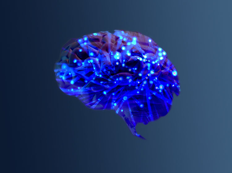 Brand identity mockup for tech startup